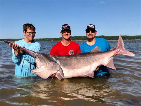 Wichita Man Catches World Record Paddlefish In Oklahomas Keystone Lake
