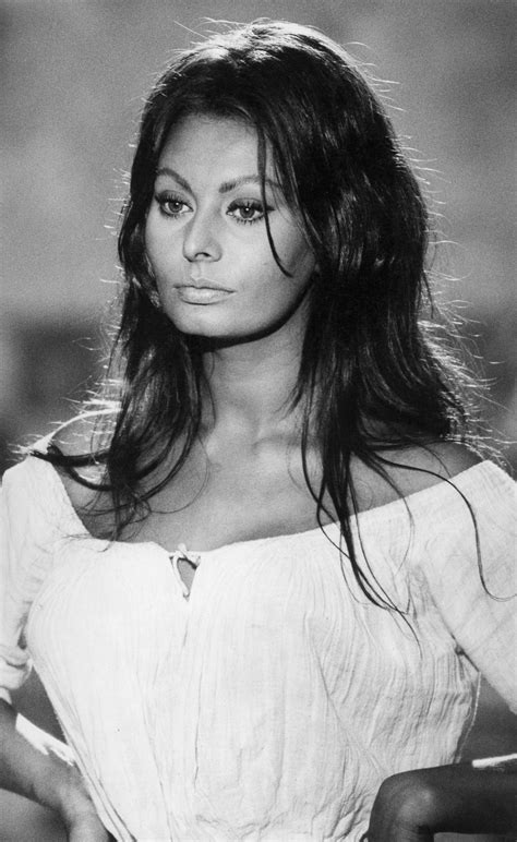 Sophia Loren Wallpapers Top Free Sophia Loren Backgrounds