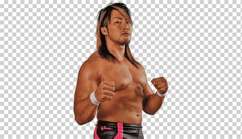 Hiroshi Tanahashi Professional Wrestling New Japan Pro Wrestling