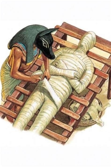 the many layers of an egyptian mummy artofit
