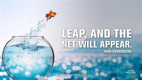 Leap And The Net Will Appear John Burroughs Take The Right Decision