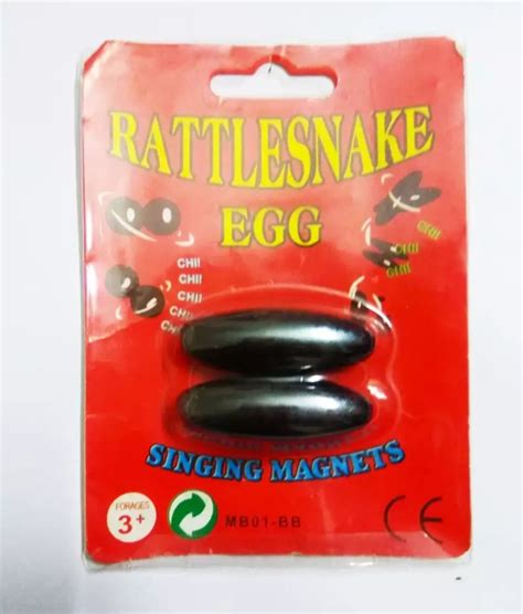 Singing Magnet Rattlesnake Egg Shape Magnet Ubicaciondepersonascdmx