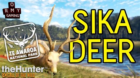 Sika Deer In New Zealand The Hunter Call Of The Wild Youtube