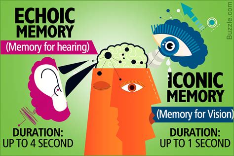 Echoic Memory Liberal Dictionary