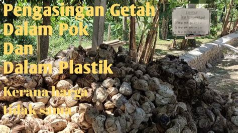 Harga ayam di hari hari swalayan | daftar harga daging ayam. Di area kami,perbedaan harga getah dalam Pok dan plastik ...