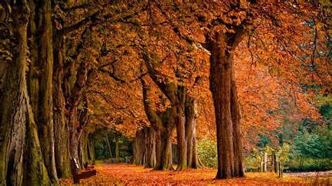 10 Best Autumn Pictures For Desktop Backgrounds Full Hd 1080p For Pc