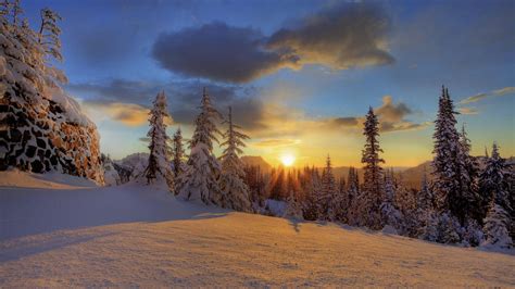 Mount Rainier National Park Winter Forest Snow Mountain Hd