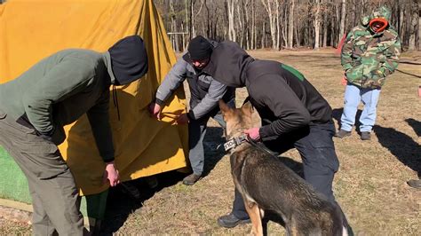 Police K9 Training Youtube