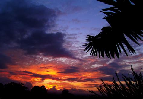 The Faces Of A Hawaiian Sunrise