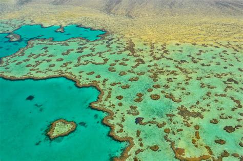 How To See The Whitsundays And The Great Barrier Reef Even On A Budget