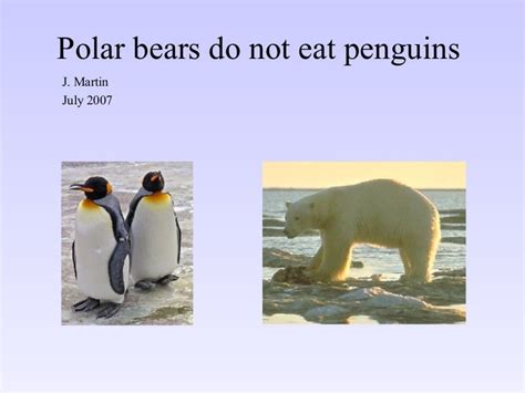 Penguins And Polar Bears