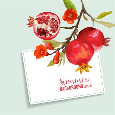 Explore our exclusive colorful hand block printed table linens; Pomegranate And Flowers Card. Fruit Background. Wedding Invitation Stock Vector - Illustration ...