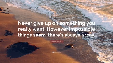 Sophie Kinsella Quote Never Give Up On Something You Really Want
