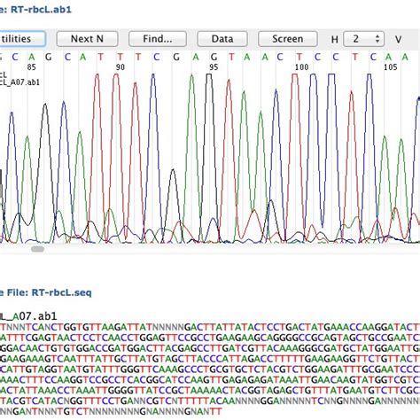 Dna From Our 10 Plant Samples Were Successfully Pcramplified And