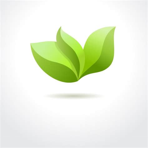 Eco Icon Green Leaf Stock Vector Image By Ikuvshinov