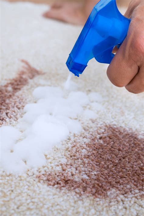 Best Ways To Remove Stains From Carpets Vacuum Cleaners