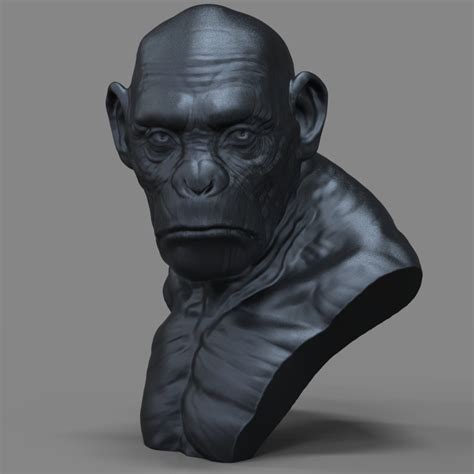 Printable Ape Bust Sculpture 3d Model