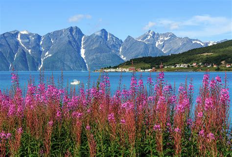 The Lyngen Fjord Troms County North Photograph By Maria Swärd Pixels