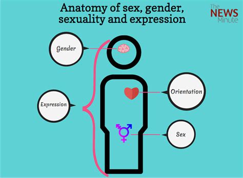 Understanding Sex And Gender They Are Connected But Not Free Download
