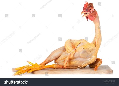 Naked Birds Images Stock Photos D Objects Vectors Shutterstock