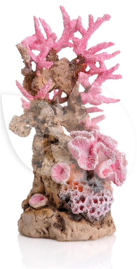Verifica disponibilitatea in magazinul fizic alege localitatea. BiOrb ornament koraalrif roze aquarium decoratie ...
