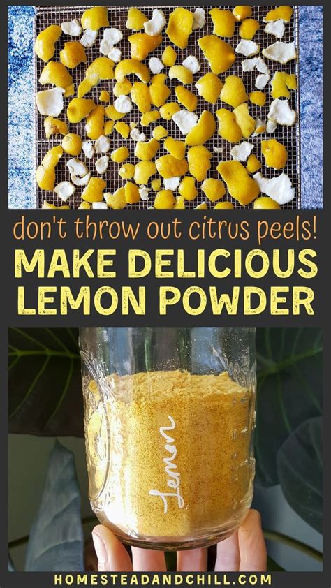 Homemade Dried Lemon Peel Powder Artofit