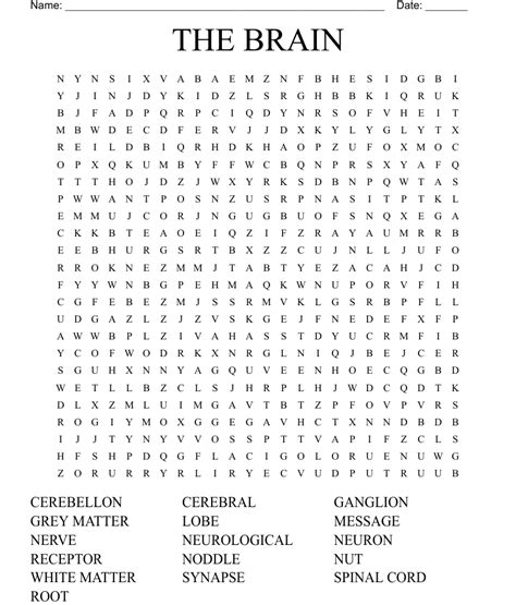 The Brain Word Search Wordmint