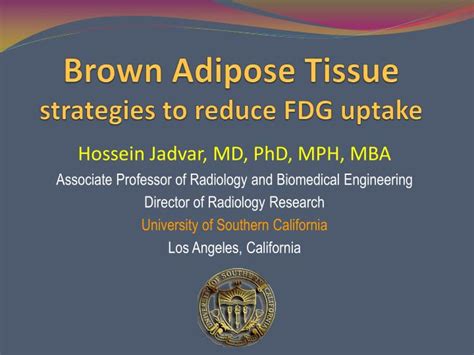 Ppt Brown Adipose Tissue Strategies To Reduce Fdg Uptake
