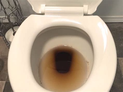 Brown Water In Toilet Why And What To Do Brown Water In Toilet Why