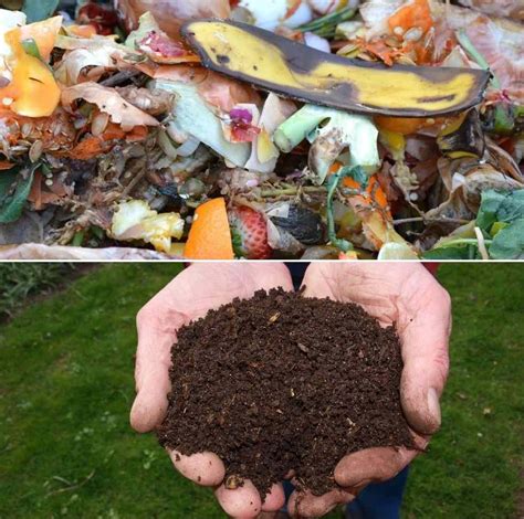 How To Make Compost From Kitchen Wastescraps Gardening Tips