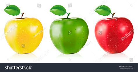 Vector Realistic Red Green Yellow Apple Stock Vector Royalty Free