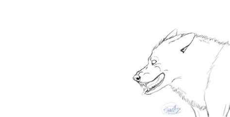 Growling Wolf Lineart By Chichihawk On Deviantart