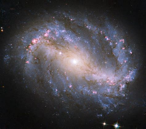Los brazos espirales parecen surgir del final de la barra mientras en las galaxias espirales parecen surgir del núcleo galáctico. Galaxia espiral barrada NGC 6217 | Imagen astronomía ...