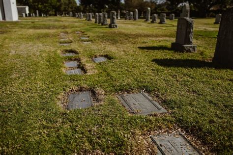 What To Consider When Choosing A Burial Plot Lakeville Mn
