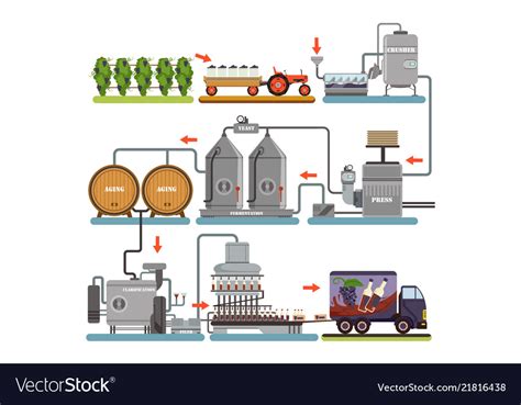 Wine Production Process Production Beverage From Vector Image