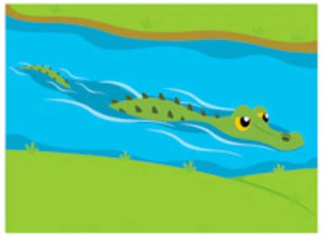 Download High Quality Alligator Clip Art Swimming Transparent Png