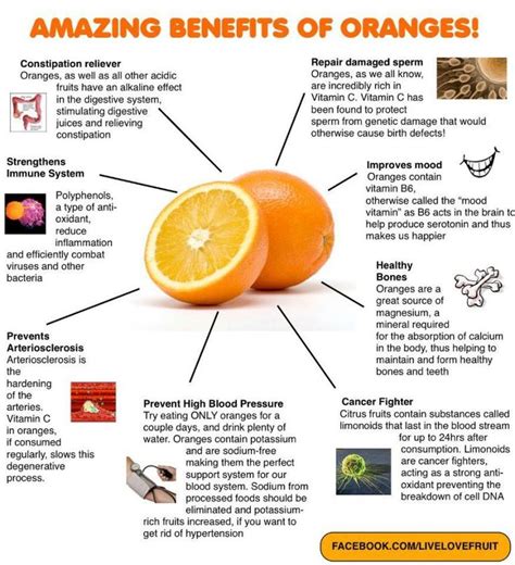 Nutritional Benefits Of Oranges Health