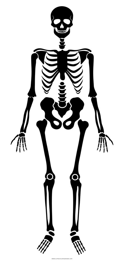Desenho De Esqueleto Para Colorir Desenho De Esqueleto Humano Para