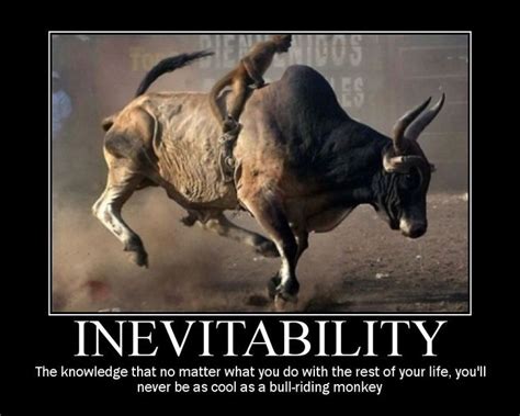 Inevitability Bull Riding Funny Pictures Motivational Posters