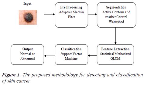 A Hybrid Segmentation Approach For Detection And Classification Of Skin