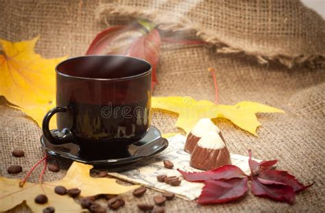 Autumn Cup Of Coffee Stock Photo Image Of Confectionery 26912980