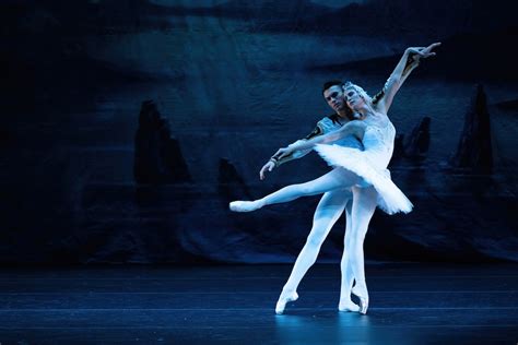 The United Ukraine Ballet Swan Lake Review Melbourne Man In Chair