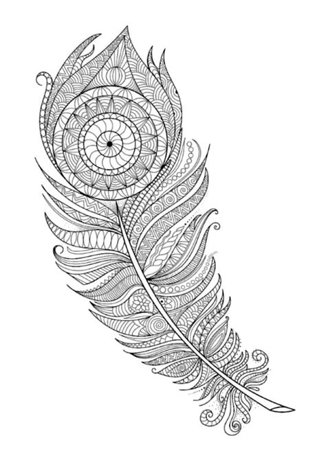 Feather Adult Coloring Pages Dejanato