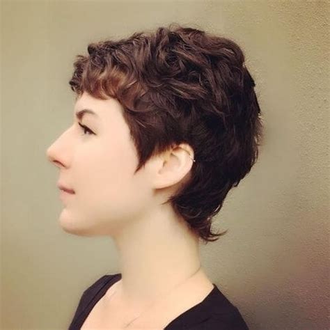 15 Collection Of Growing Out Pixie Haircuts For Curly Hair