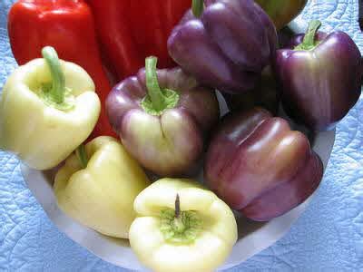 The bell pepper is the fruit of plants in the grossum cultivar group of the species capsicum annuum. Peppers : Food Facts & Trivia