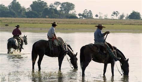 Así Es El Futuro Parque Nacional Iberá Donde Vivir Los Atardeceres Más