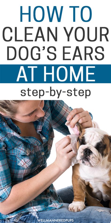 How To Clean Your Dogs Ears Dog Training Pet Care And Online Courses