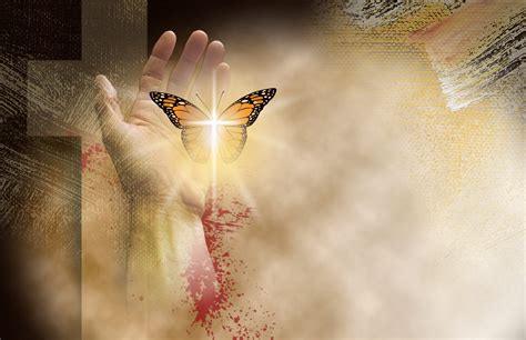 The Spiritual Transformation Symbolized By Butterflies Homestamp