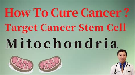 How To Cure Cancer Targeting Cancer Stem Cell Mitochondria Youtube