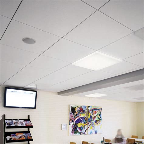 Armstrong Suspended Ceiling Lights Shelly Lighting